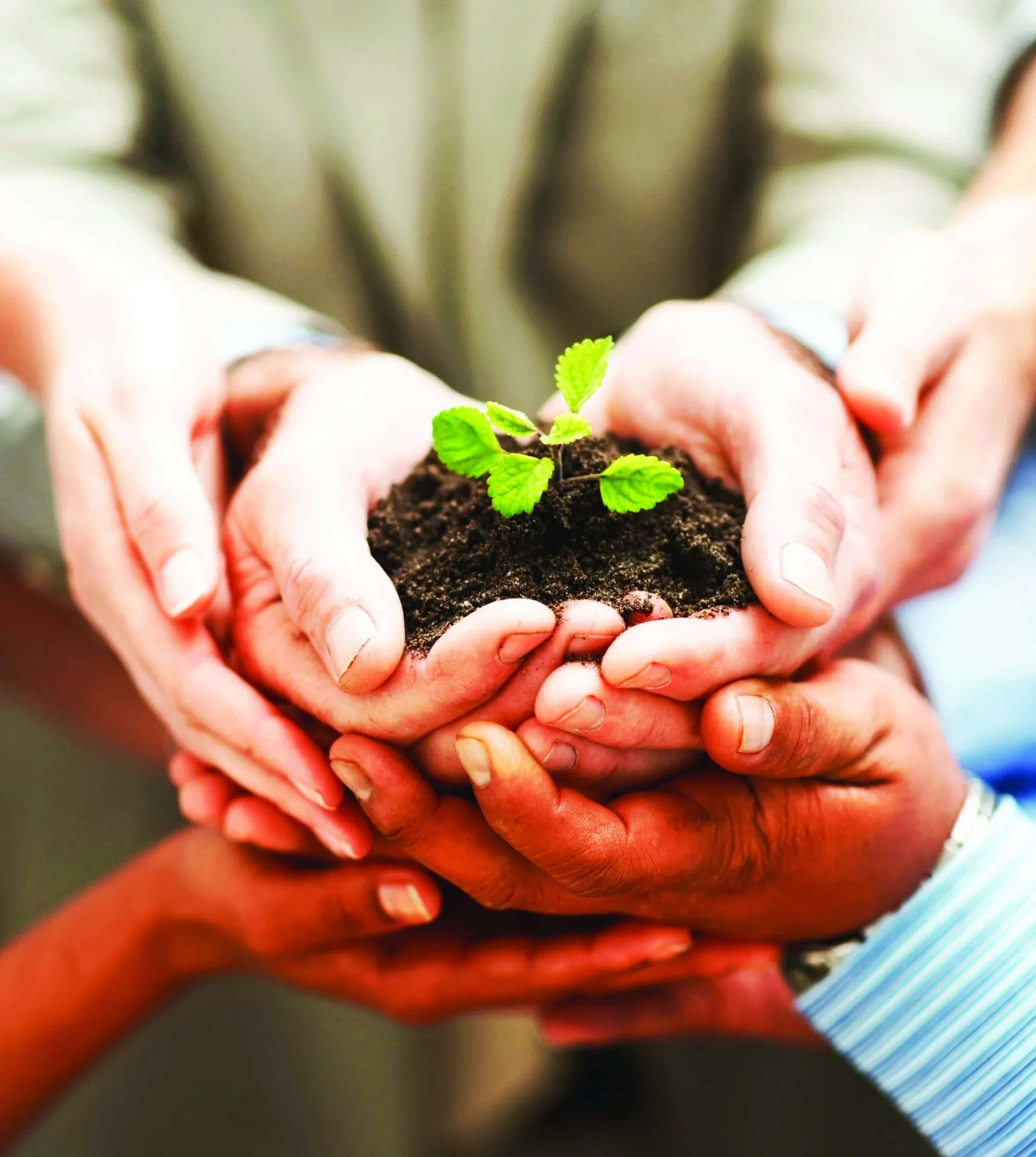 O cooperativismo e a agenda ESG