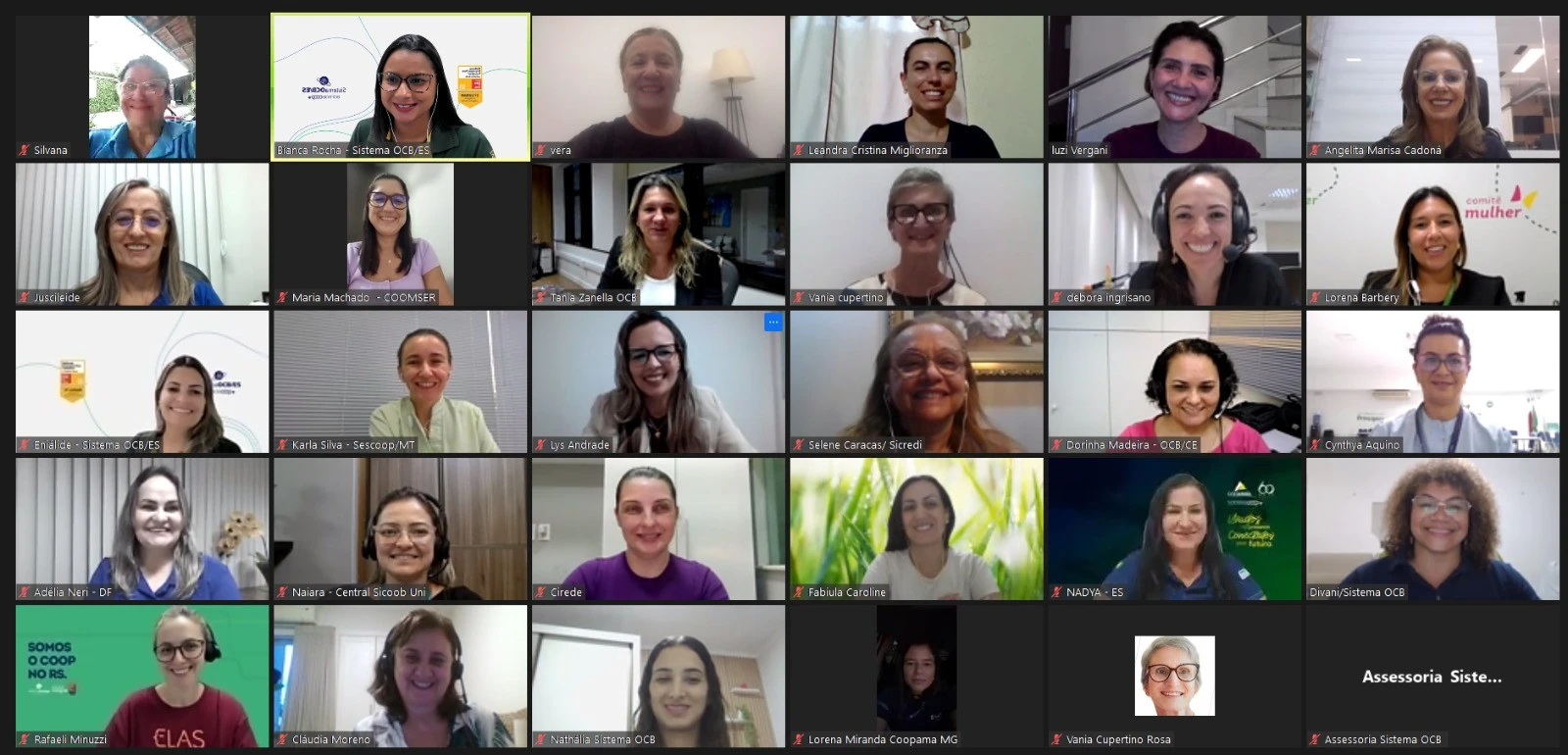 Participantes do Elas pelo Coop se reúnem em encontro virtual