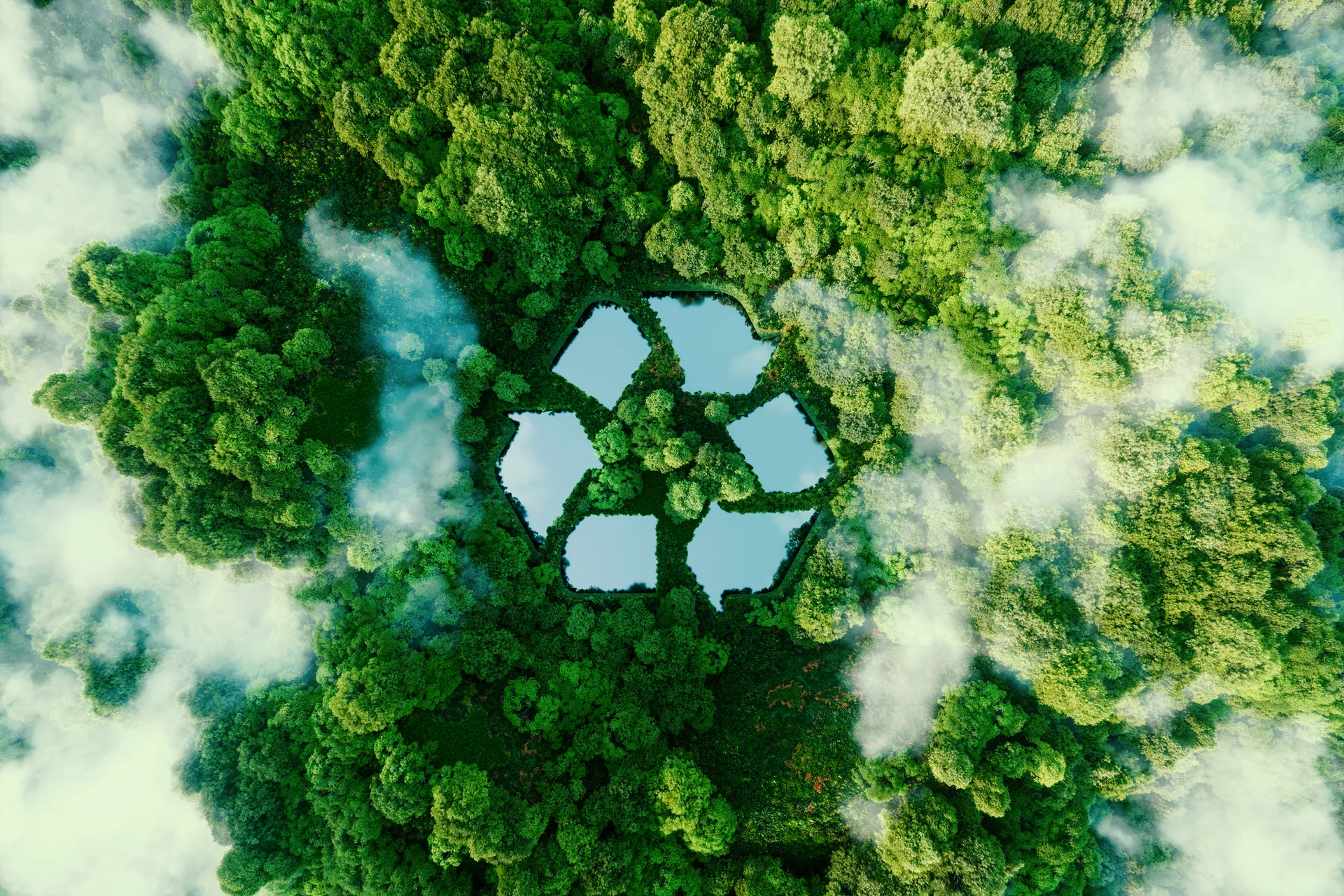 Créditos de carbono geram oportunidades de negócios sustentáveis para o cooperativismo