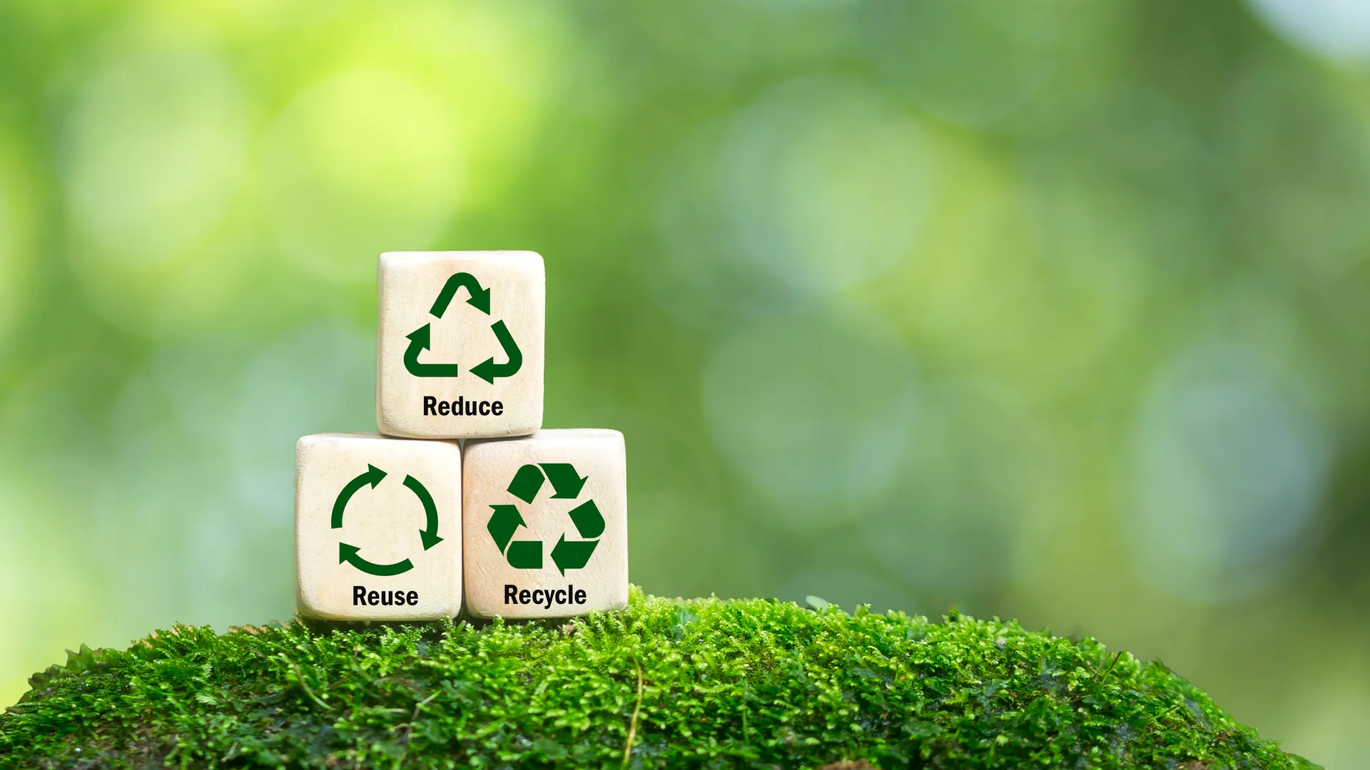 Logística reversa no cooperativismo: sustentabilidade e bons negócios