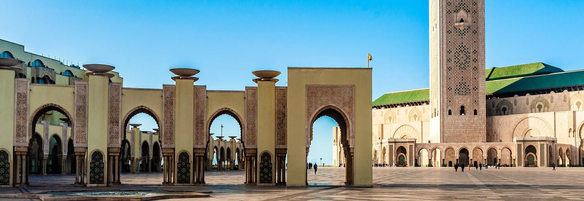 Inscrições abertas para cooperativas na feira Salon International de L’Agriculture au Maroc 2023