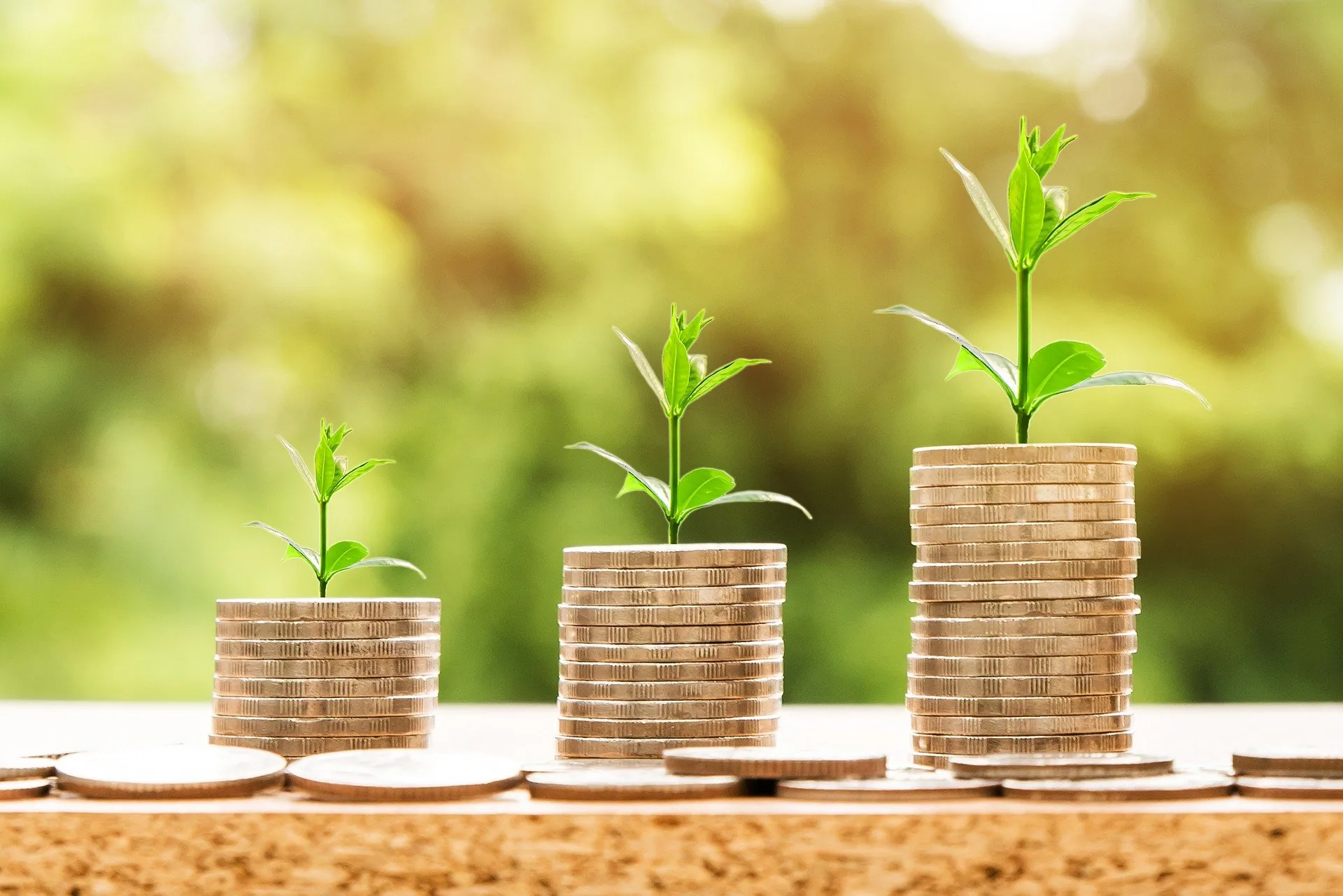 Crédito rural é tema de webinário para coops agro