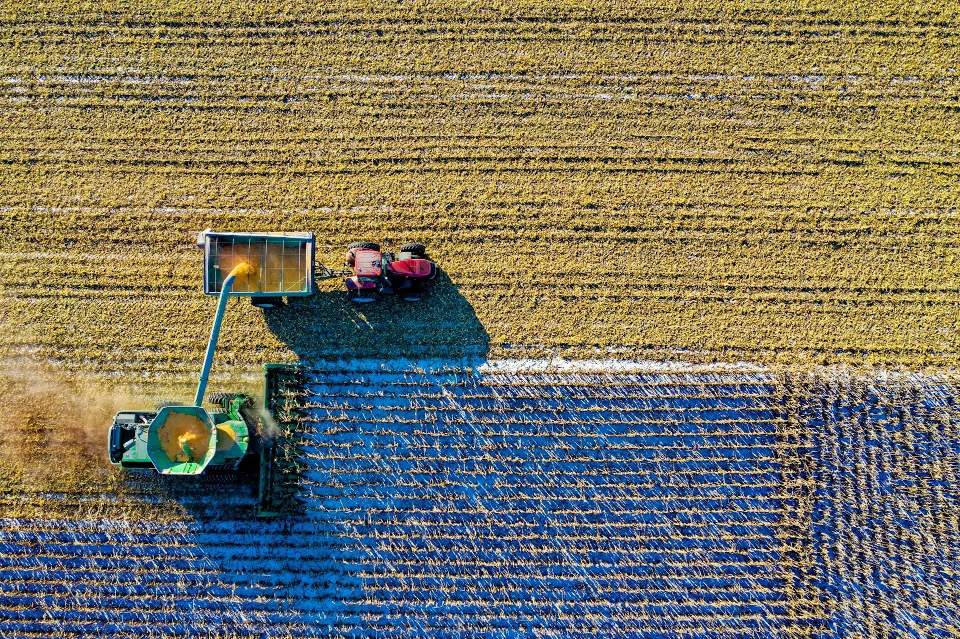 Desafios e oportunidades de negócios para as cooperativas agropecuárias em 2026