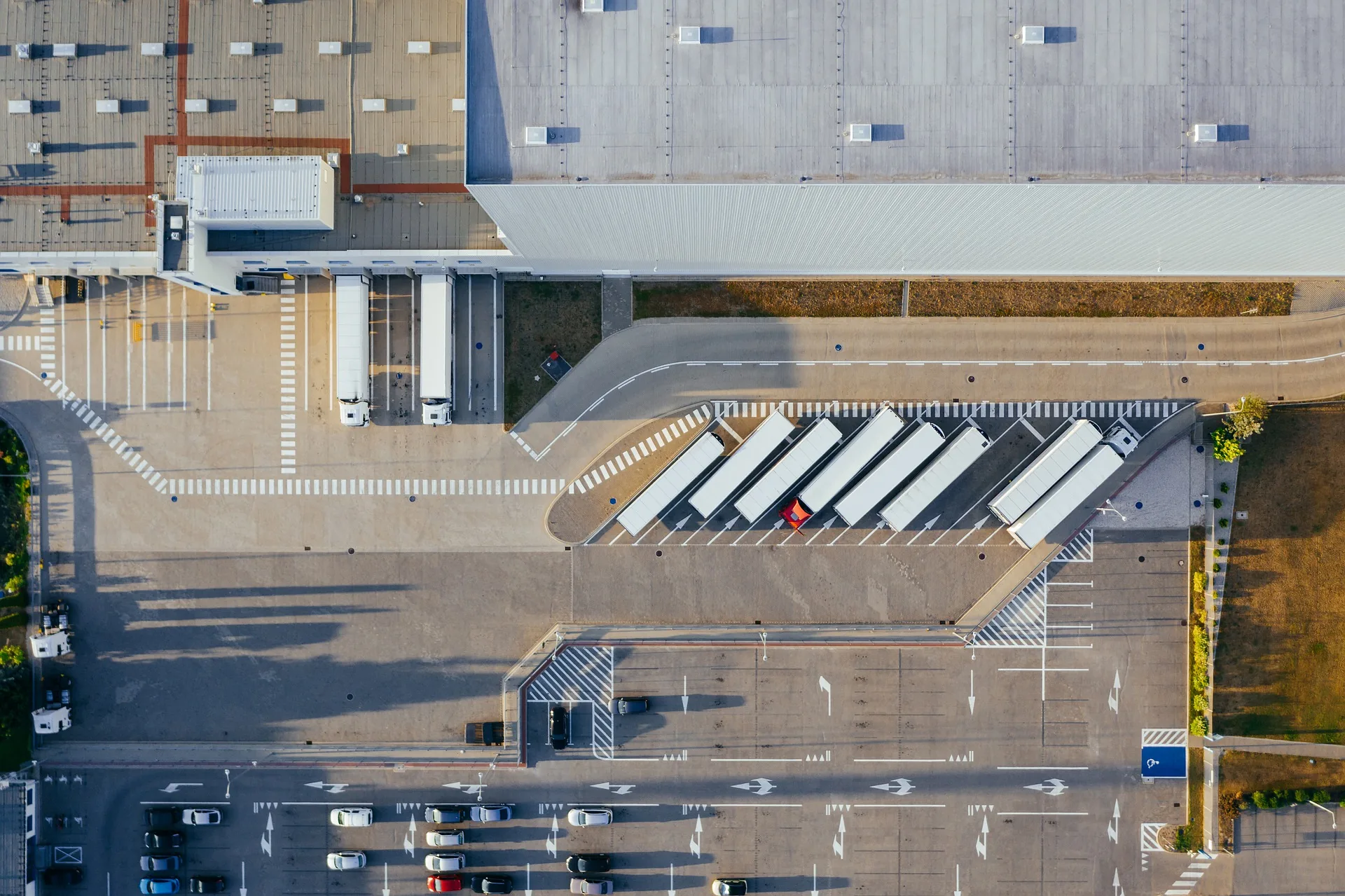 Como e quando aplicar a verticalização da cadeia produtiva nas cooperativas