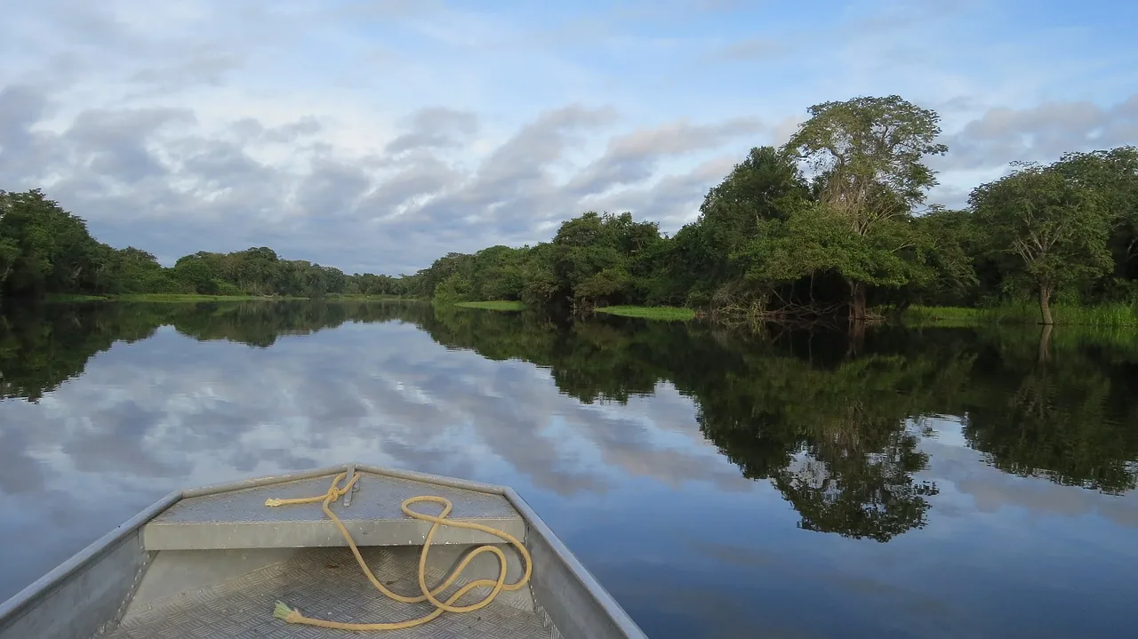 Participe da rodada de negócios do programa Exporta Mais Amazônia