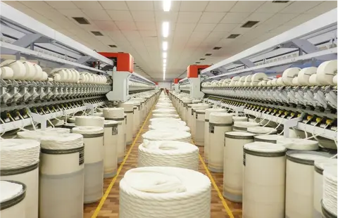 Do campo à TI: cooperativas promovem desenvolvimento com inclusão e inovação 
