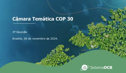 CT da COP30 alinha prioridades para o debate climático internacional