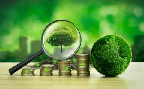 Linhas de crédito verde? As cooperativas têm