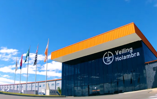 Case Cooperativa Veiling Holambra: impulso nos negócios por meio da inovação