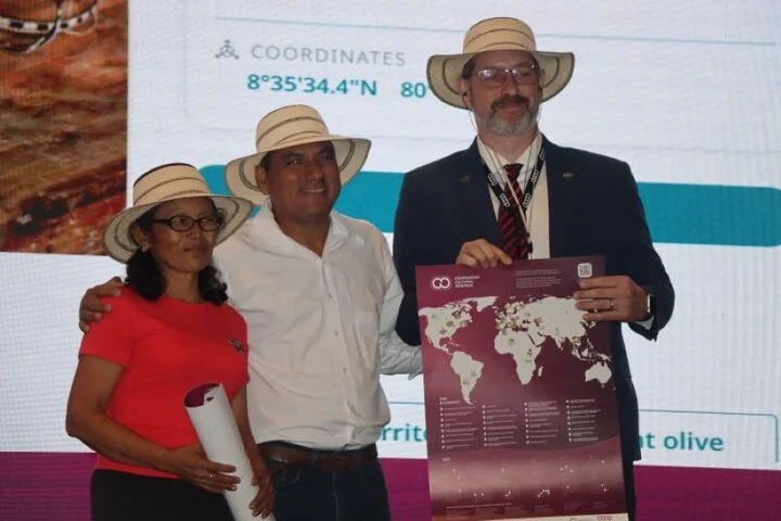 Adelina Guzmán e Emilio Pimentel - Patrimônio