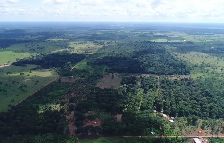 reflorestamento recajpg 101cb