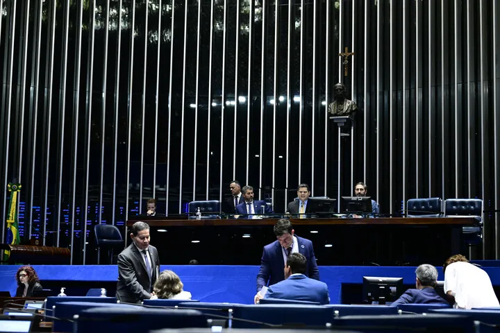Plenário do Senado. Foto: