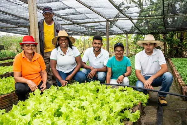 Dia Mundial do Meio Ambiente: como as cooperativas ajudam a proteger os biomas brasileiros 