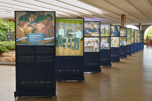 Cinco conquistas do Ano Internacional das Cooperativas 